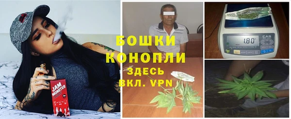 сатива Алексеевка